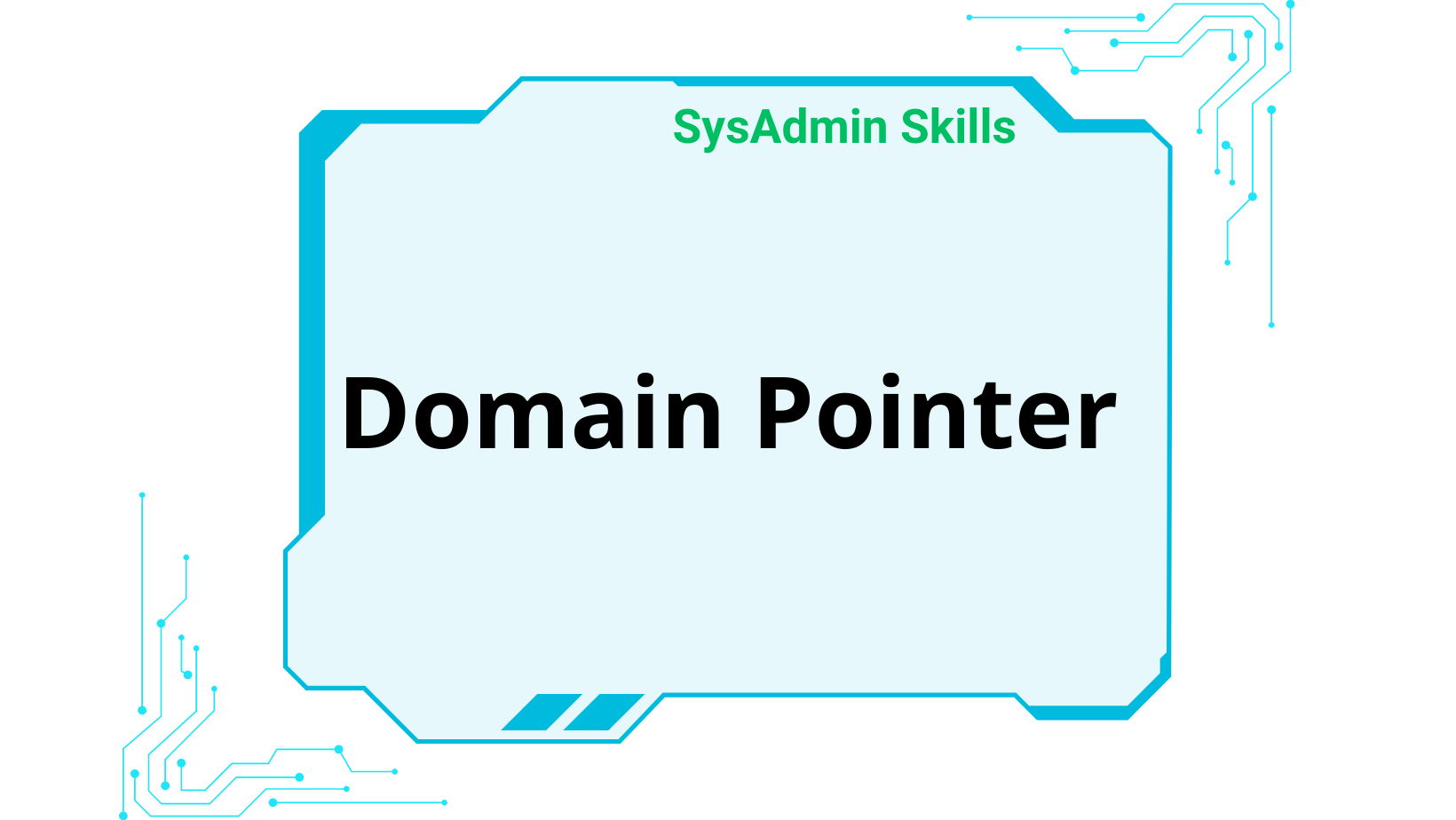 Domain Pointers