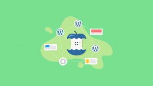 Core Wordpress