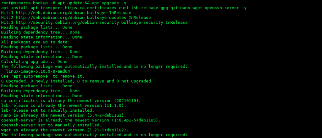 Minarca Server trên Debian
