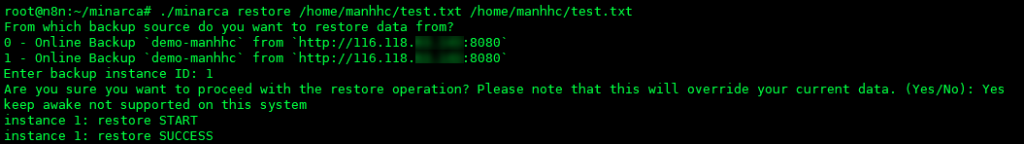 Minarca Server trên Debian