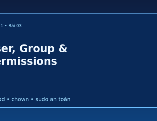 User group và phân quyền Linux với lab chmod chown sudo an toàn